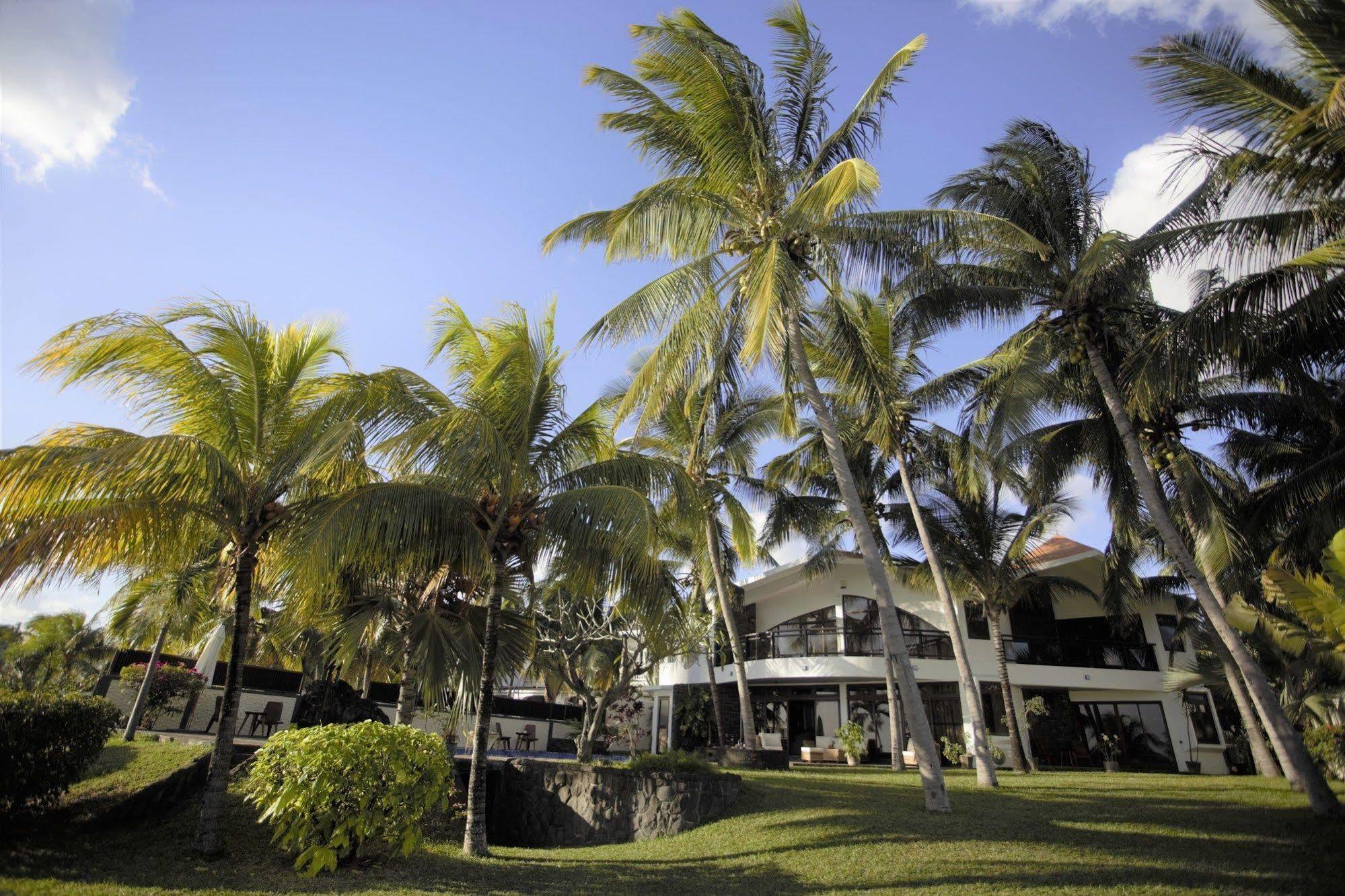 אלביון La Maison De La Plage מראה חיצוני תמונה