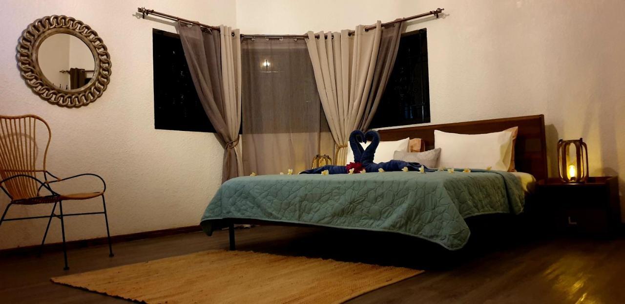 אלביון La Maison De La Plage מראה חיצוני תמונה